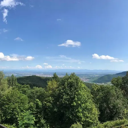 Апартаменты Perchoir 1 : De Gamme Et Lumineux Тюркхайм