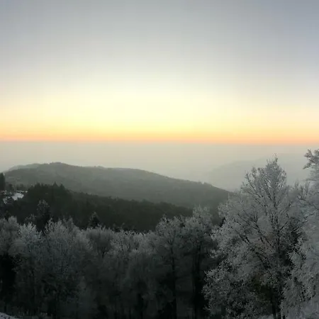 Perchoir 1 : De Gamme Et Lumineux * Тюркхайм